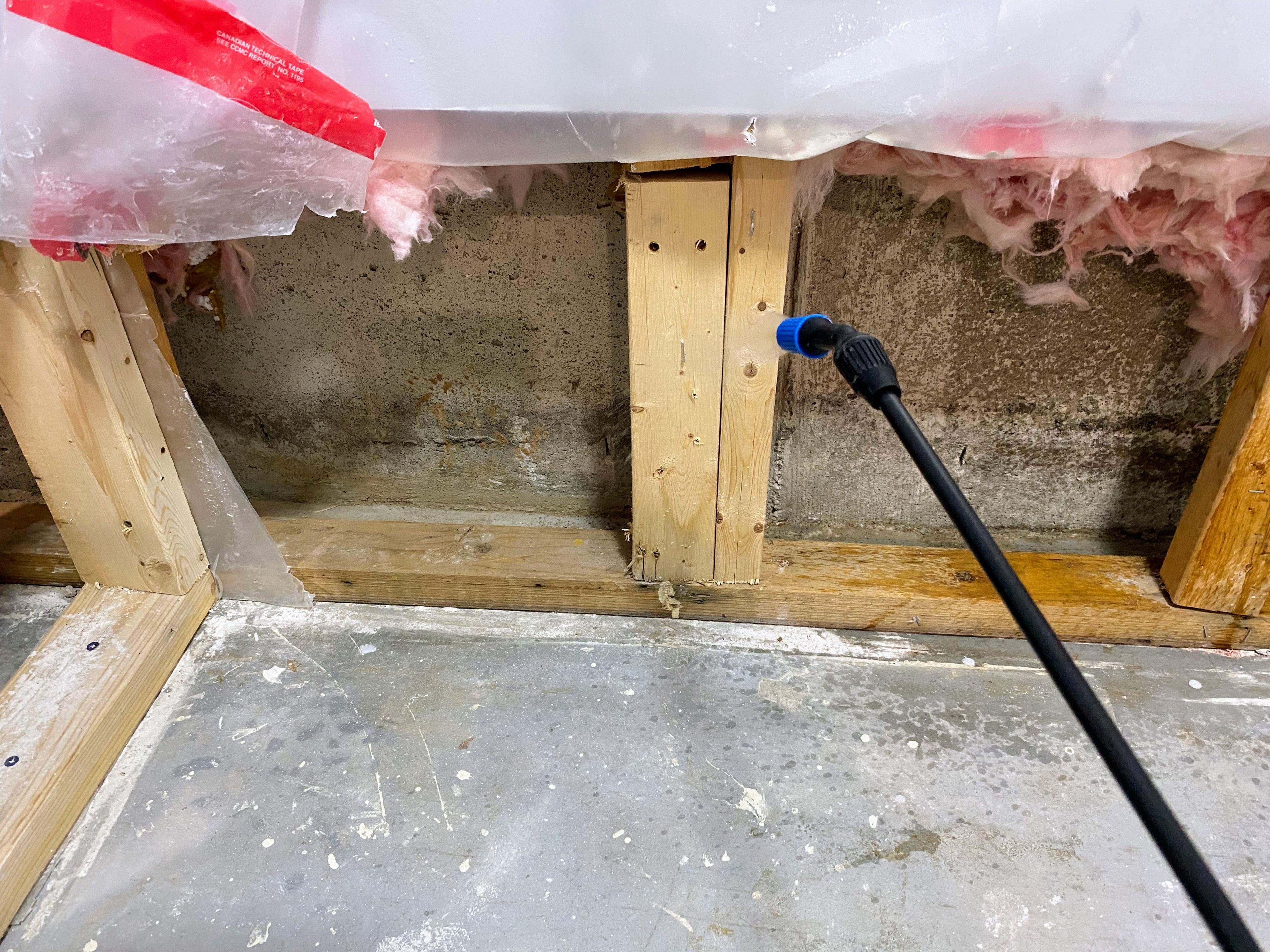 Image of mold-inhibitor being applied to wood framing and wall cavity in Nepean, Ottawa